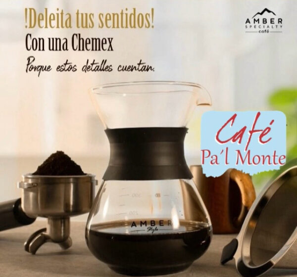 IMG_0311 Chemex 400 ml silicona