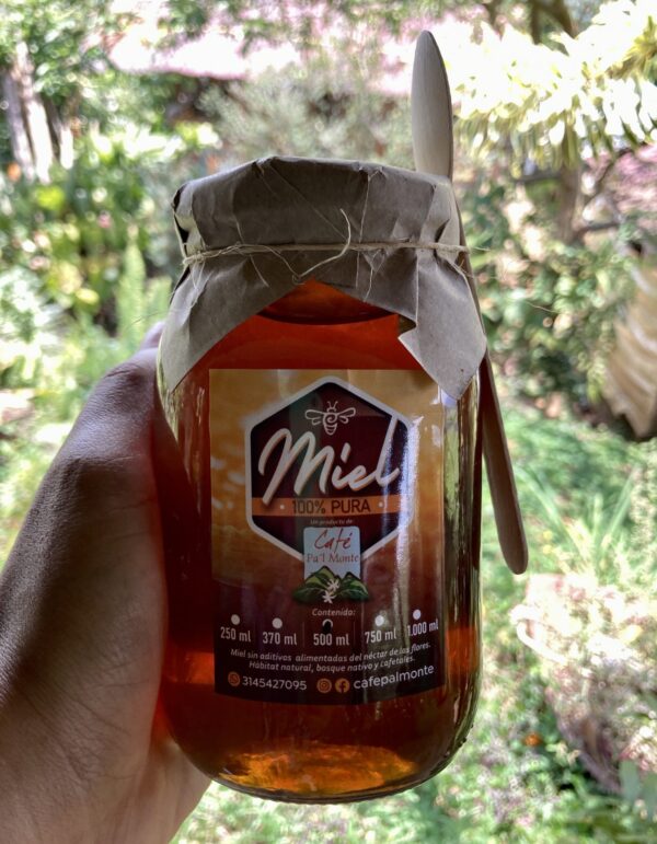 IMG_5742 Miel de Abeja 500 ml