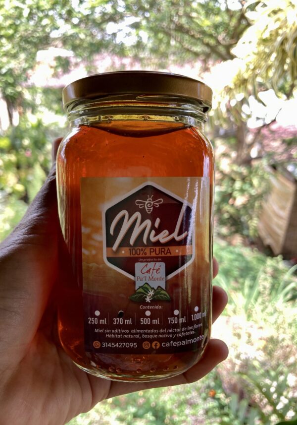 IMG_5743 Miel de abeja 370 ml