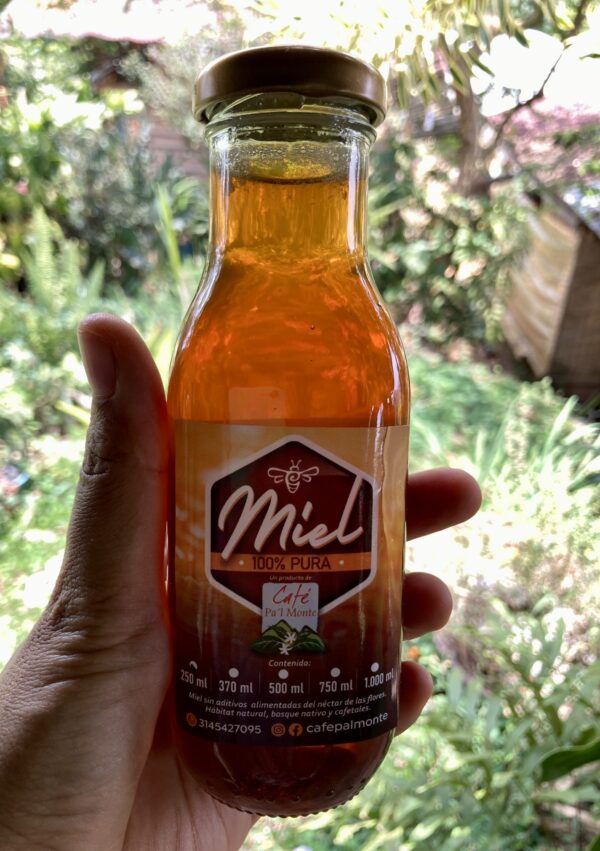 IMG_5745 Miel de Abeja 250 ml