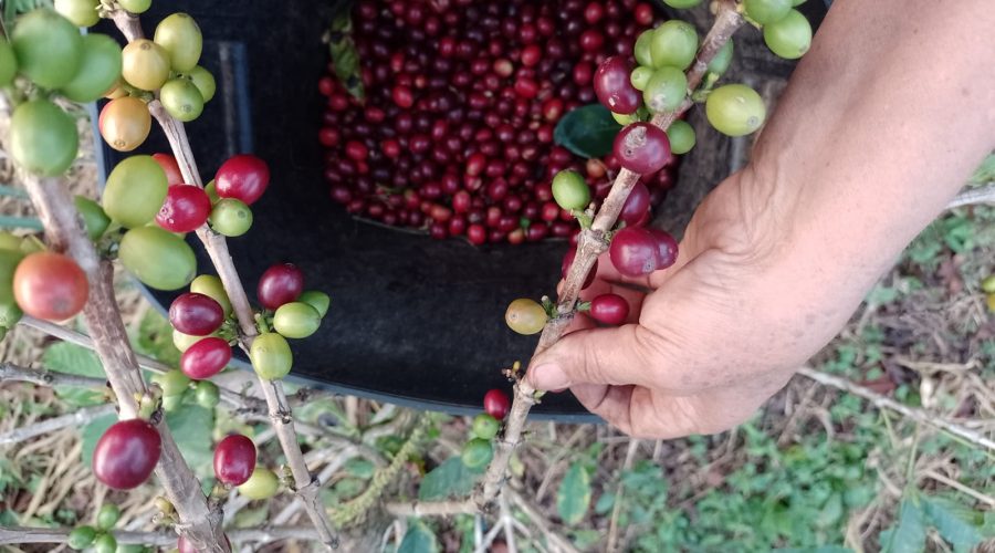 33fecbd5-cc85-4eb8-a62d-73d3d6ce54b2