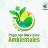 Logo-PSA