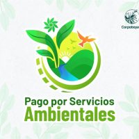 Logo-PSA